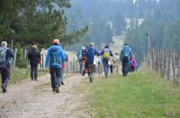 Macchialonga11nov2018 (41)